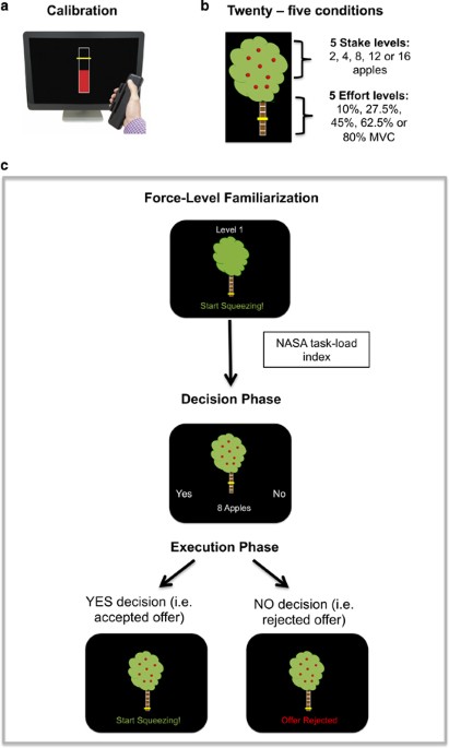 feature-image