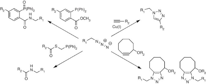 Preparation of the functionalizable methionine surrogate azidohomoalanine  via copper-catalyzed diazo transfer | Nature Protocols