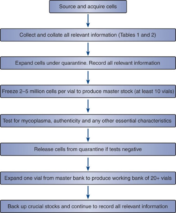 Cryopreservation and banking of mammalian cell lines | Nature Protocols