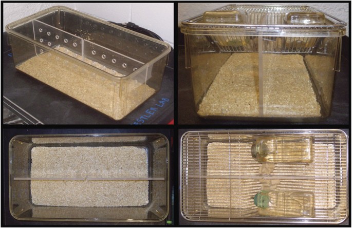 hamster cage divider