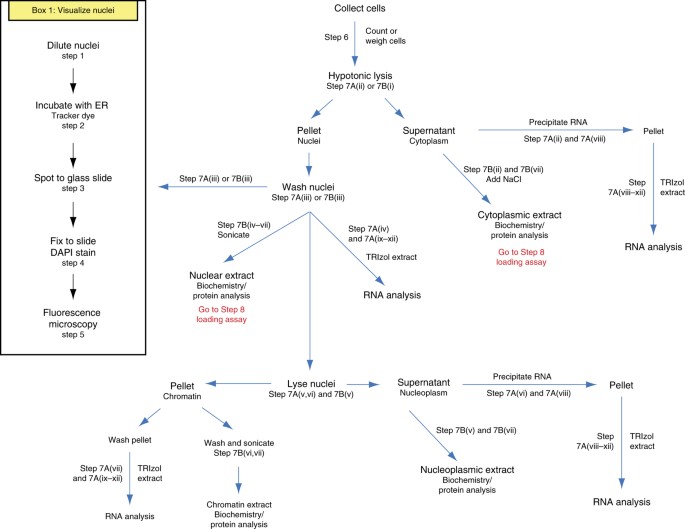 Fractionation Fractionation