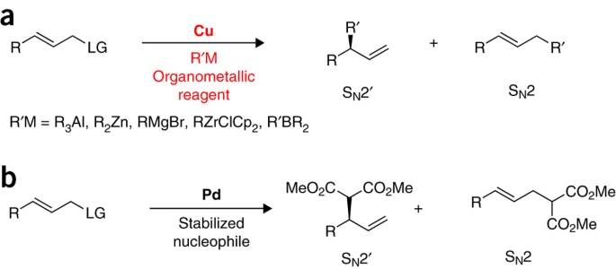 Cu Catalyzed Enantioselective Allylic Alkylation With Organolithium Reagents Nature Protocols