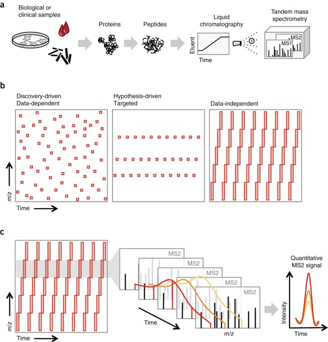 Quantitative proteomics: challenges and opportunities in basic and