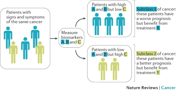Biomarker development in the precision medicine era: lung cancer 