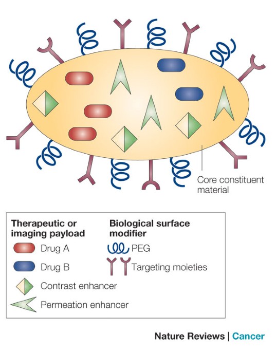 Smart Nanomaterials in Cancer Theranostics: Challenges and Opportunities