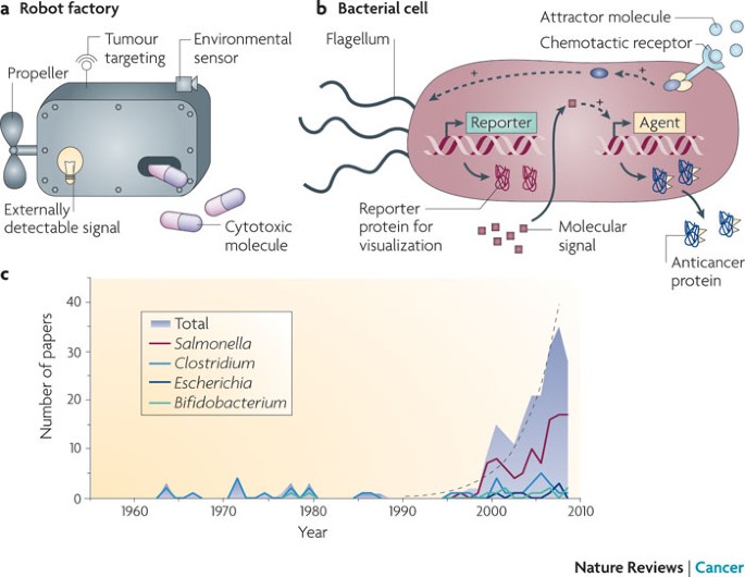 Engineering the perfect (bacterial) cancer therapy | Nature Reviews Cancer