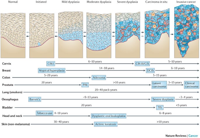 Future directions cancer | Nature Reviews