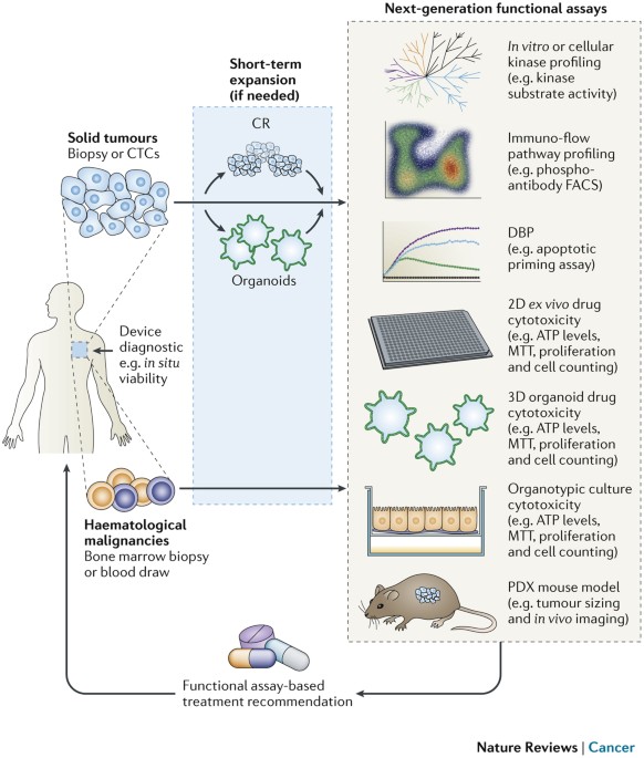 levis 519 lived in adv