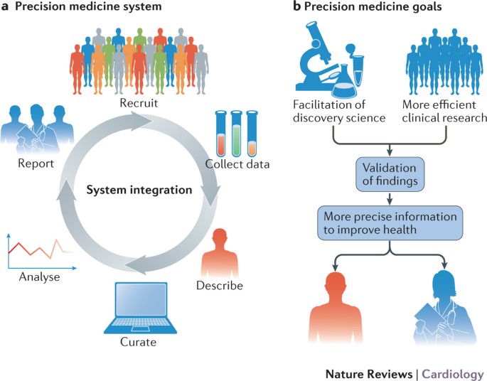 Precision medicine in cardiology | Nature Reviews Cardiology
