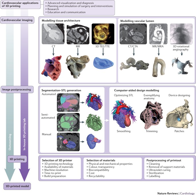 champignon galleri Klassificer Applications of 3D printing in cardiovascular diseases | Nature Reviews  Cardiology