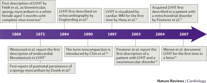 Left ventricular noncompaction cardiomyopathy: cardiac, neuromuscular, and  genetic factors | Nature Reviews Cardiology