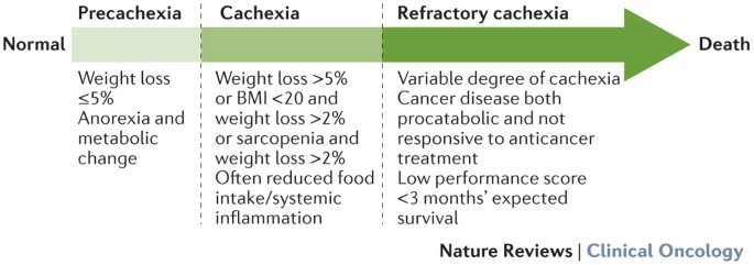 Cachexia in patients with oesophageal cancer | Nature Reviews Clinical  Oncology