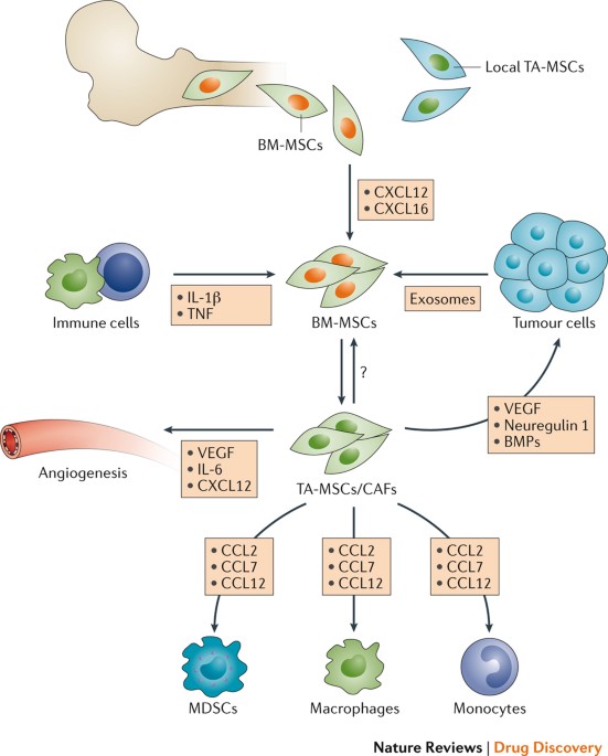 Federally housing having moreover mandatory the penitentiary bookstores