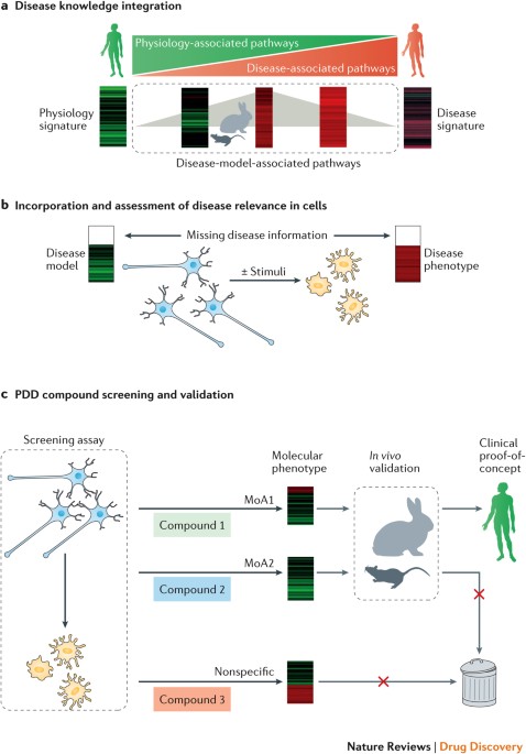 Opportunities and challenges in phenotypic drug discovery: an industry | Nature Drug Discovery