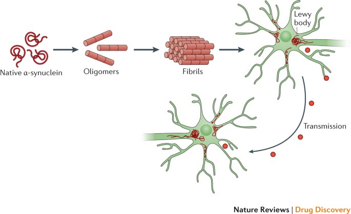 Zeroing in α-synuclein | Reviews Drug Discovery