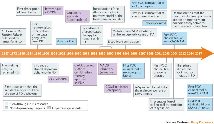 Therapeutic Strategies For Parkinson Disease Beyond Dopaminergic