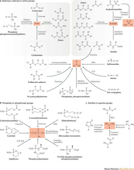 benefits+of+glutathione 14 Glutathione Benefits for Your Body and Health