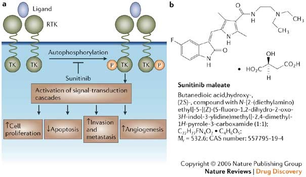Sunitinib Maleate Nature Reviews Drug Discovery