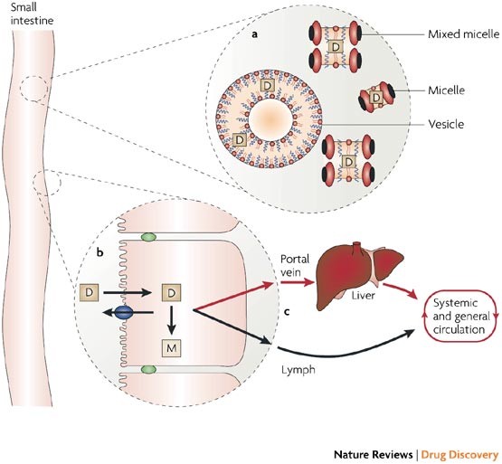 Lipids And Lipid Based Formulations Optimizing The Oral Delivery Of Lipophilic Drugs Nature Reviews Drug Discovery Lipids And Lipid Based Formulations Optimizing The Oral Delivery Of Lipophilic Drugs Nature Reviews Drug Discovery