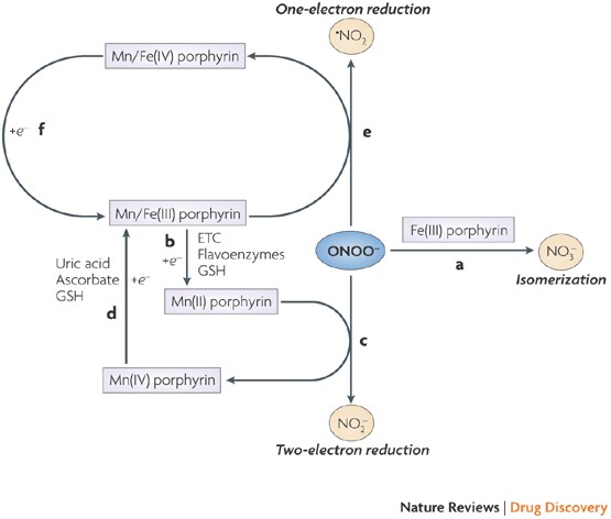 Figure 2 from Understanding the fate of peroxynitrite in plant cells--from  physiology to pathophysiology.