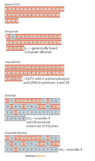 Erratum Islet G Protein Coupled Receptors As Potential Targets For Treatment Of Type 2 Diabetes Nature Reviews Drug Discovery