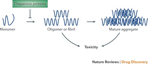 Heat shock transcription factor 1 as a therapeutic target in neurodegenerative diseases