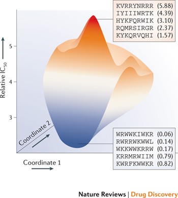 Host defense peptides combined with MTA extract increase the