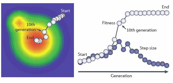 Host defense peptides combined with MTA extract increase the