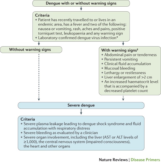 Dengue infection | Nature Reviews Disease Primers