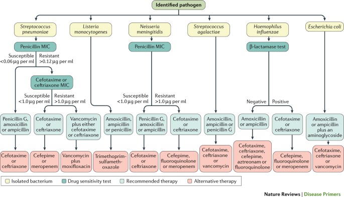 Table 1 from Bacterial meningitis and living conditions.