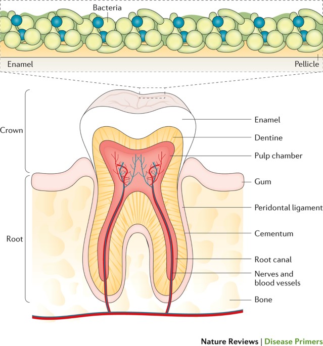 Why should you buy RDP Matrix Filler