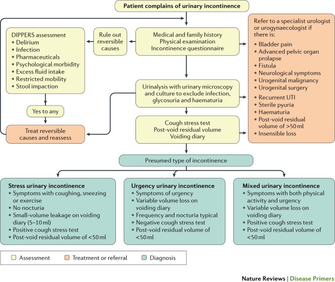 Urinary incontinence in women  Nature Reviews Disease Primers