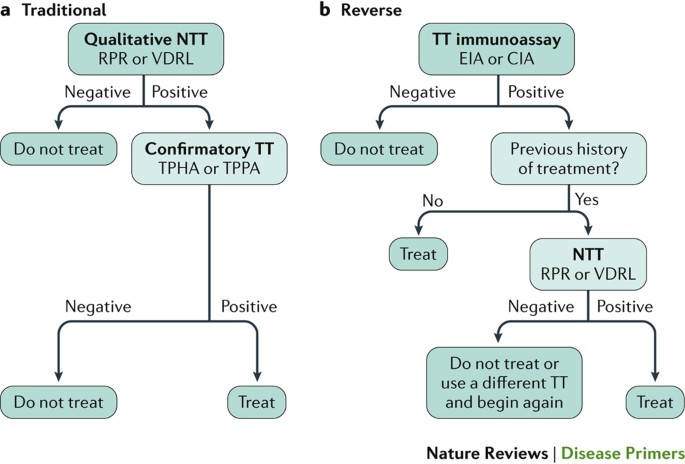 Frontiers  Identification and Functional Assessment of the First Placental  Adhesin of Treponema pallidum That May Play Critical Role in Congenital  Syphilis