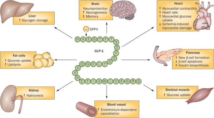 retatrutide coa Retatrutide Certificate of Analysis | PDF | Amino Acid
