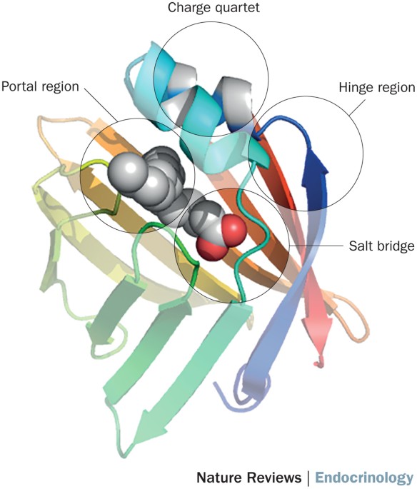 feature-image