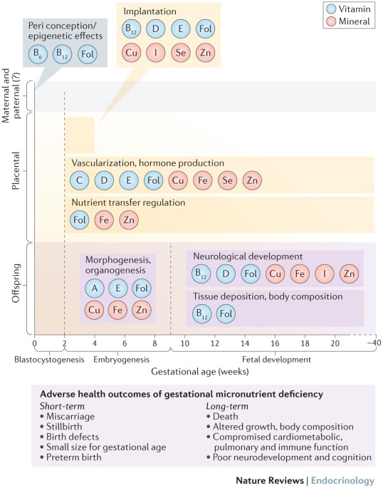 Micronutrient deficiencies in pregnancy worldwide: health effects and prevention