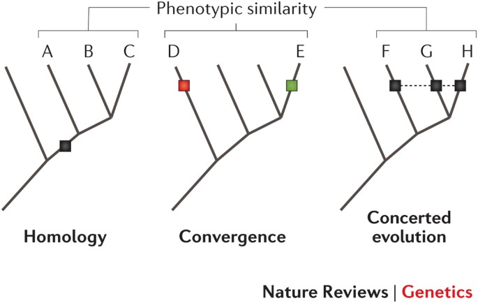 The Origin And Evolution Of Cell Types Nature Reviews Genetics