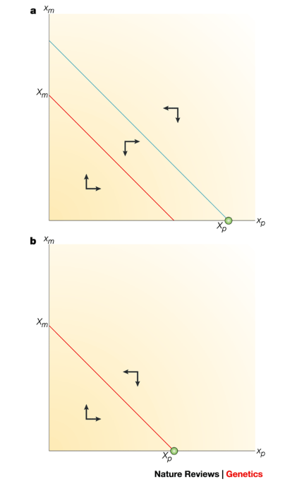 What Good Is Genomic Imprinting The Function Of Parent Specific Gene Expression Nature Reviews Genetics
