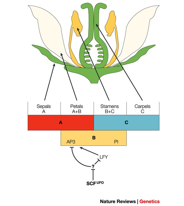 feature-image