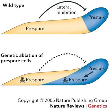 feature-image
