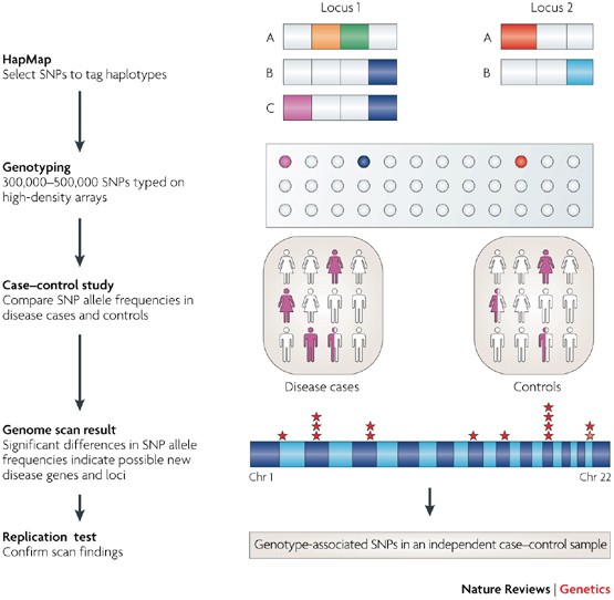 New links to the pathogenesis of Crohn disease provided by genome-wide association scans