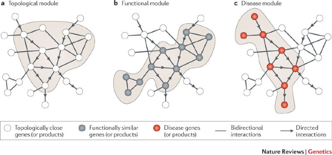 Network-based approaches for modeling disease regulation and