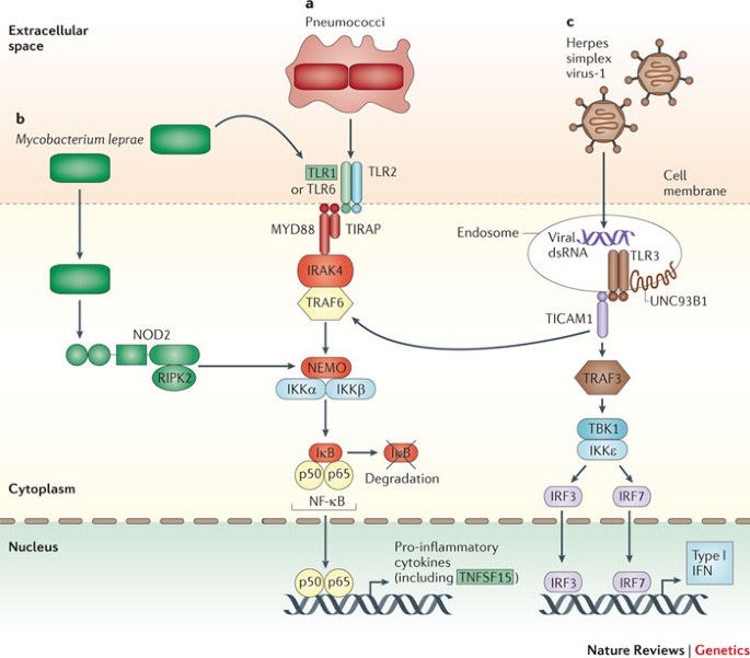 View of Management of genetic diseases: Present and future