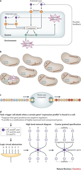 Biomolecular computing systems: principles, progress and potential