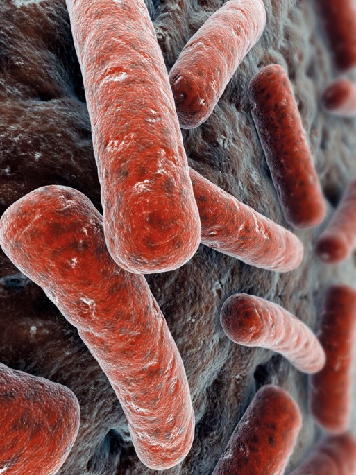 Bacterial sensors report on the gut