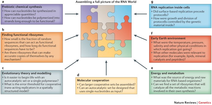 The RNA World: molecular cooperation at the origins of life | Nature  Reviews Genetics
