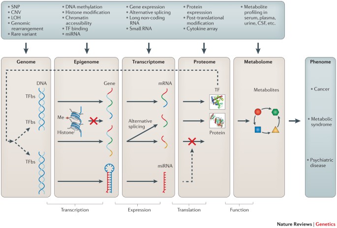 Methods Of Integrating Data To Uncover Genotype Phenotype Interactions Nature Reviews Genetics Methods Of Integrating Data To Uncover Genotype Phenotype Interactions Nature Reviews Genetics