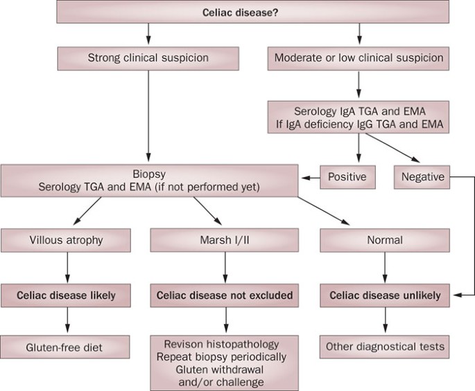 ceiliac The spectrum of celiac disease: epidemiology, clinical aspects and  treatment | Nature Reviews Gastroenterology & Hepatology