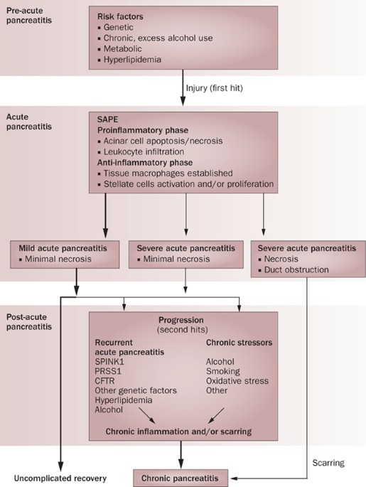 The role of alcohol and smoking in pancreatitis