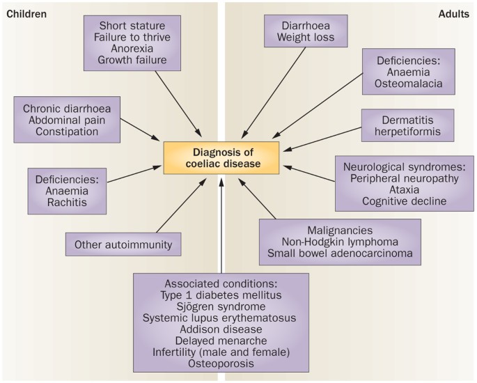 Diagnosing coeliac disease and the potential for serological markers |  Nature Reviews Gastroenterology & Hepatology